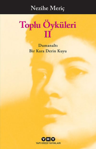 Toplu Öyküleri II – Nezihe Meriç