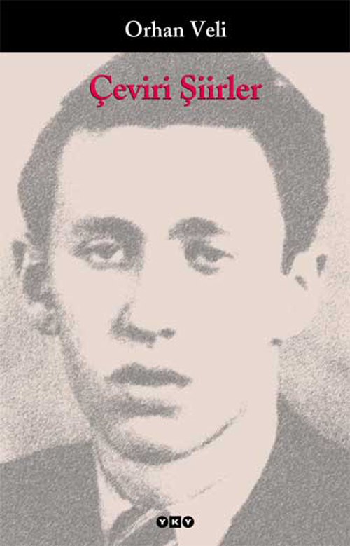 Çeviri Şiirler