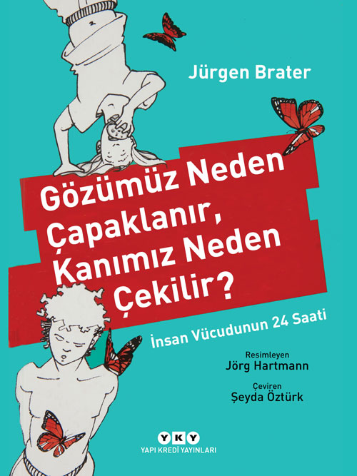 Gözümüz Neden Çapaklanır, Kanımız Neden Çekilir? – İnsan Vücudunun 24 Saati