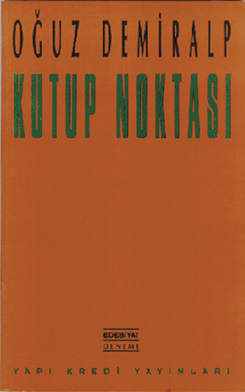 Kutup Noktası
