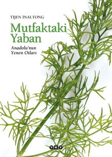 Mutfaktaki Yaban – Anadolu’nun Yenen Otları
