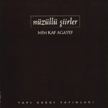 Nüzüllü Şiirler