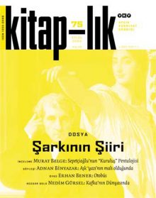 Şarkının Şiiri
