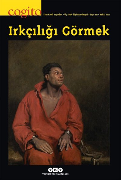 Irkçılığı Görmek