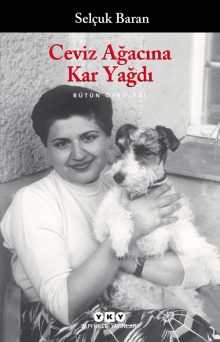 Ceviz Ağacına Kar Yağdı – Bütün Öyküleri