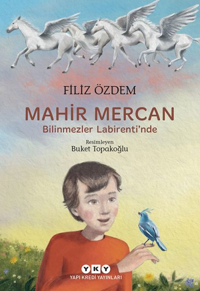 Mahir Mercan – Bilinmezler Labirenti’nde