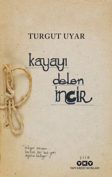 Kayayı Delen İncir