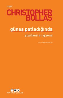 Güneş Patladığında – Şizofreninin Gizemi