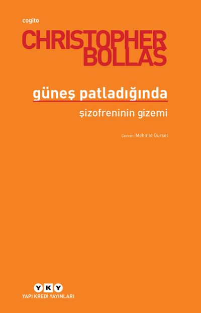 Güneş Patladığında – Şizofreninin Gizemi