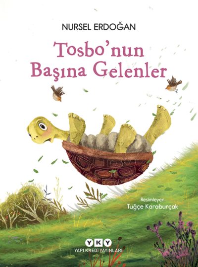Tosbo’nun Başına Gelenler